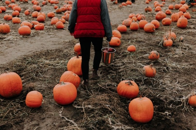 ideas for family photos in autumn