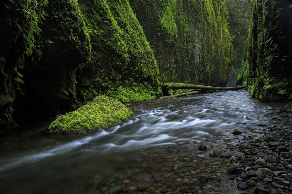 Oneonta Falls Oregon // Matt Kloskowski's Top 5 Landscapes to Photography // Nations Photo Lab
