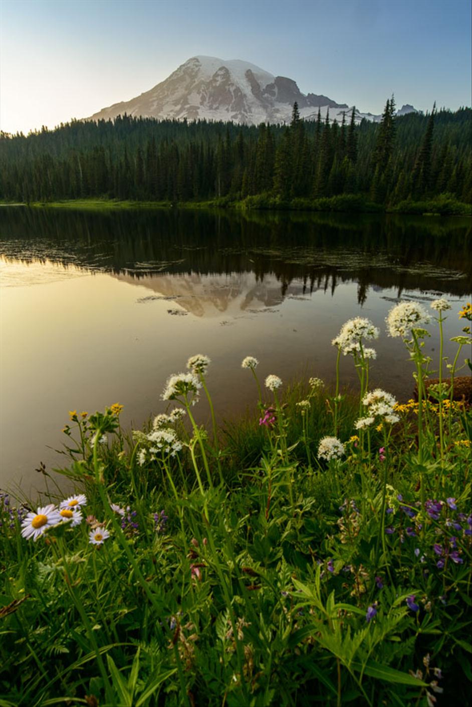 Mount Rainier Wildflowers// Matt Kloskowski's Top 5 Landscapes to Photography // Nations Photo Lab