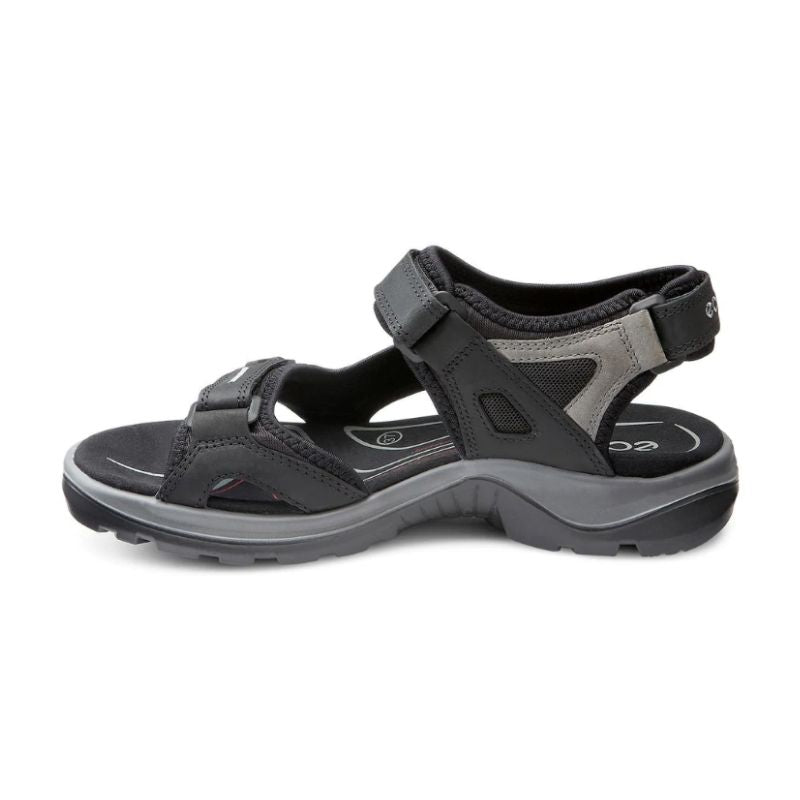 Ecco Atmosphere/Ice Sandals 069563