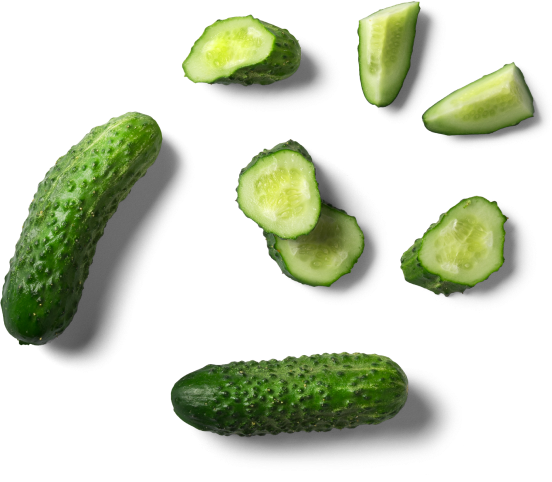 cucumber
