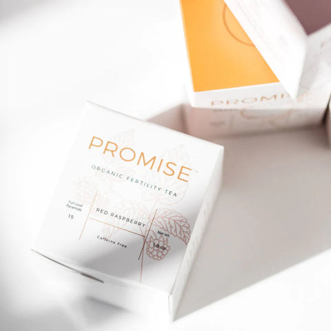 Promise Prenatal - Promise Organic Fertility Tea