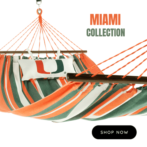 miami hurricanes hammock