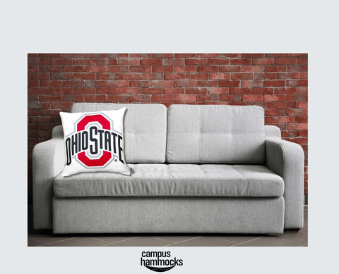 Ohio state athletic logo decor for dorm room