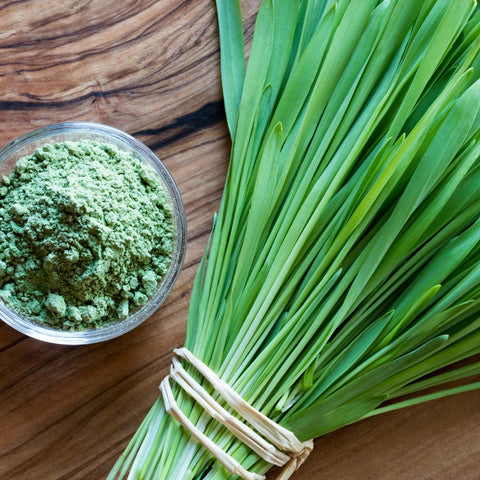 barley grass powder