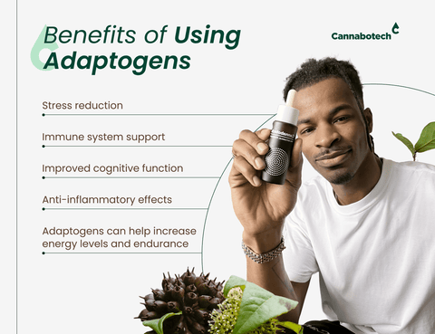 benefits of the best nootropics and adaptogens