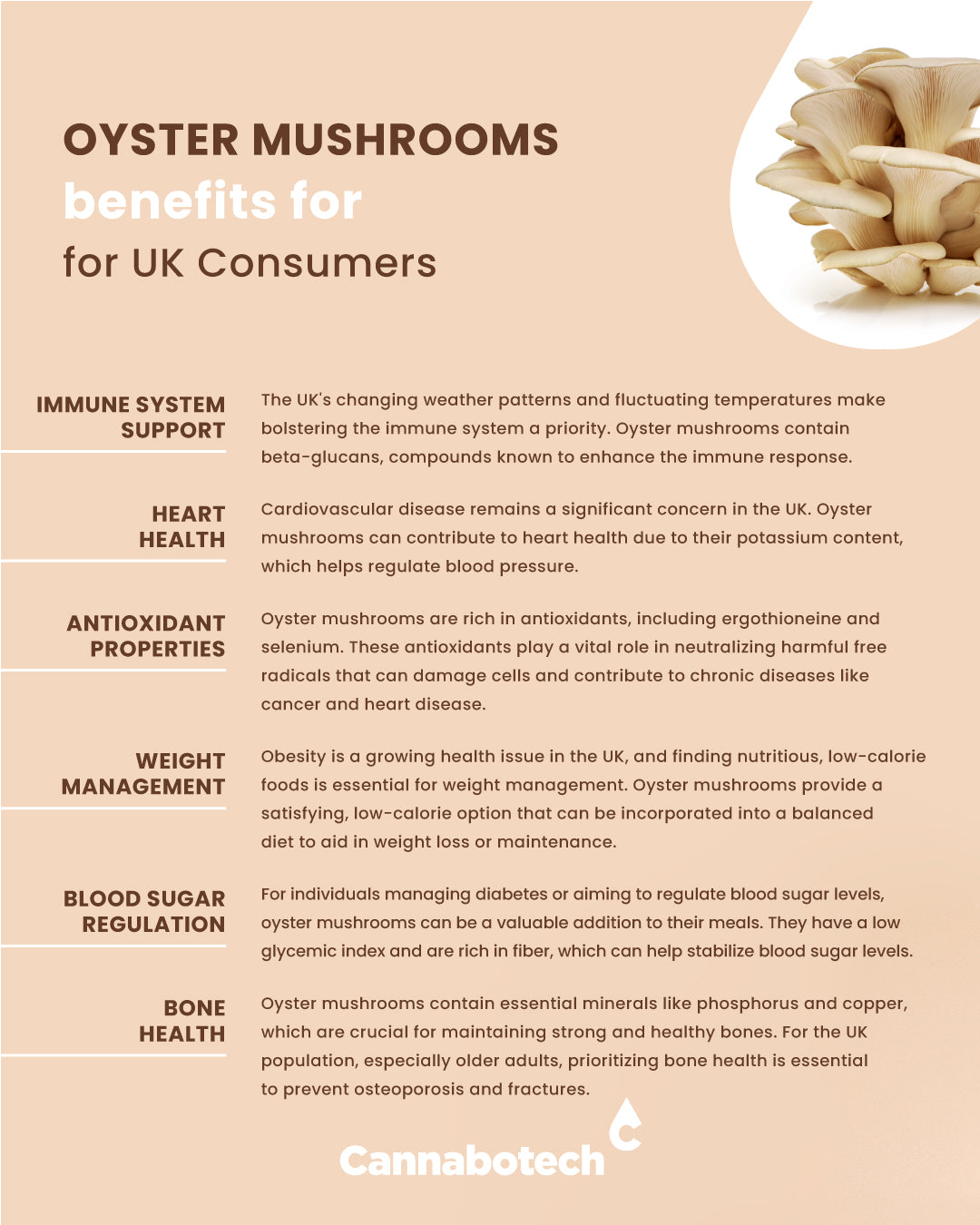 Oyster Mushroom Benefits UK consumers