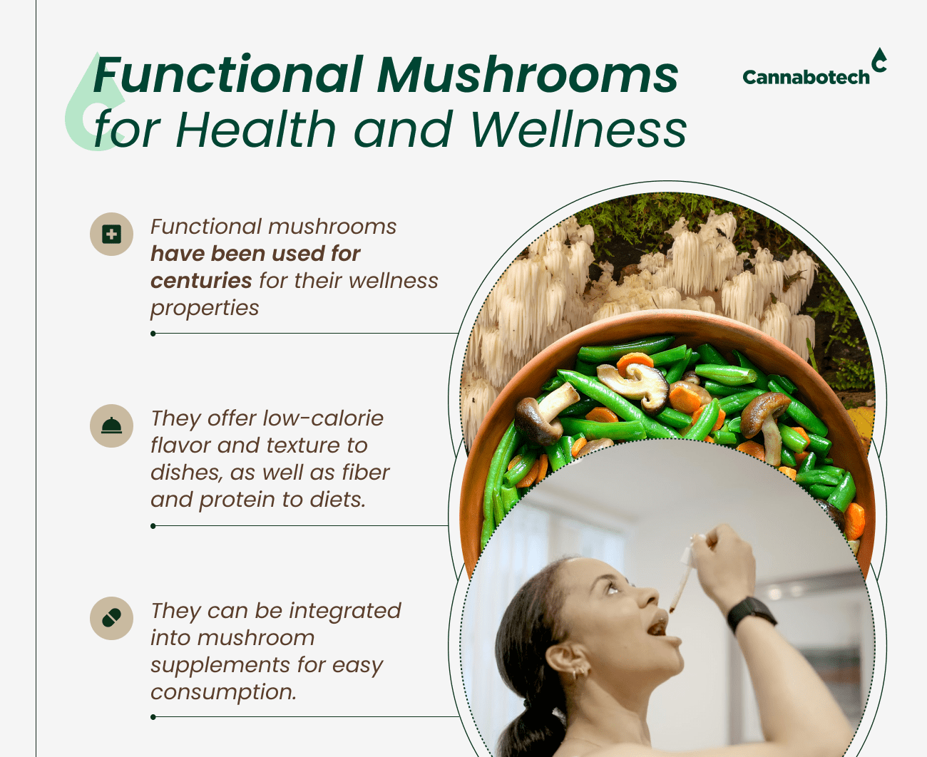 Function Mushrooms Health and Wellness Benefits
