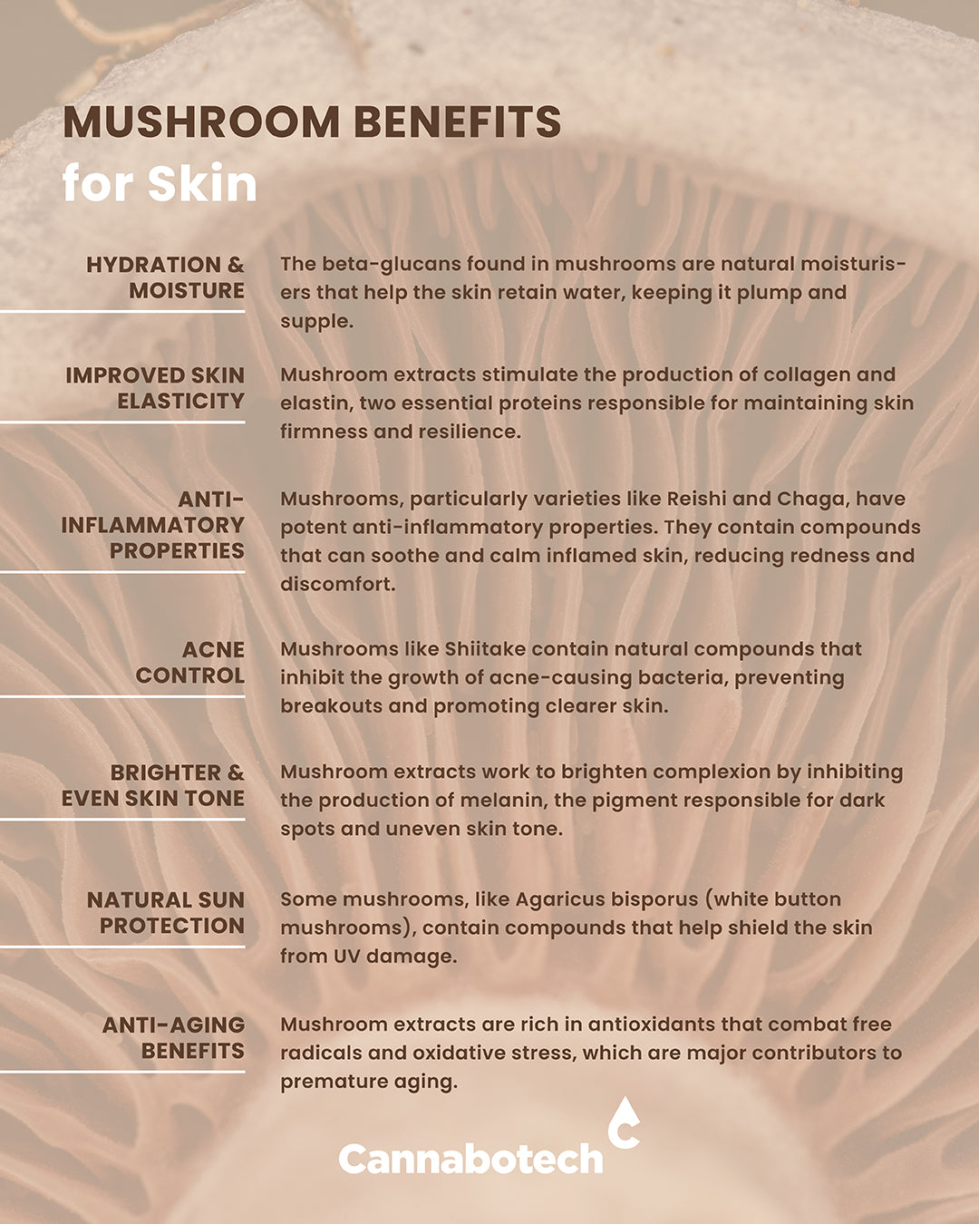 Mushroom Benefits for Skin
