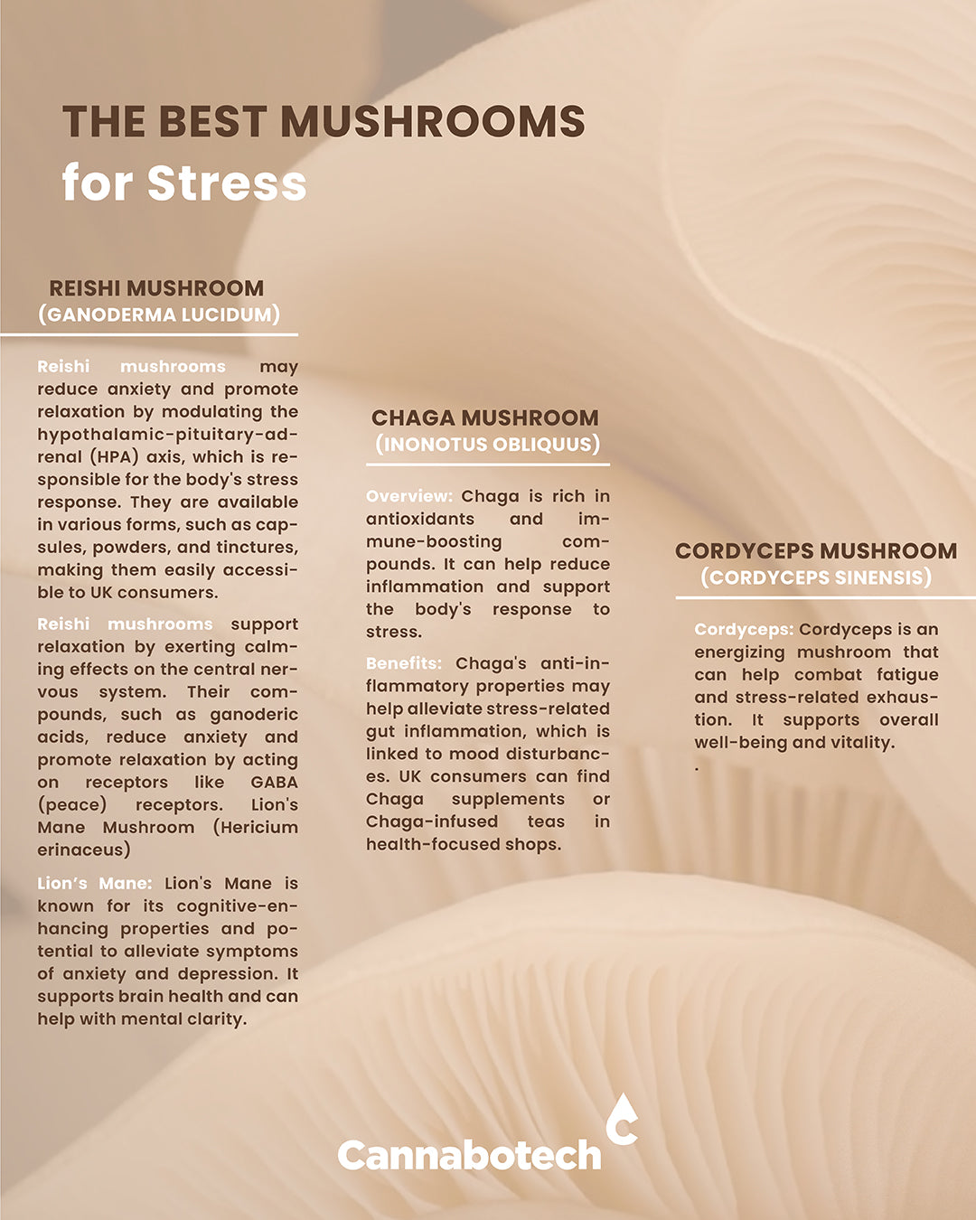 best mushrooms for stress uk
