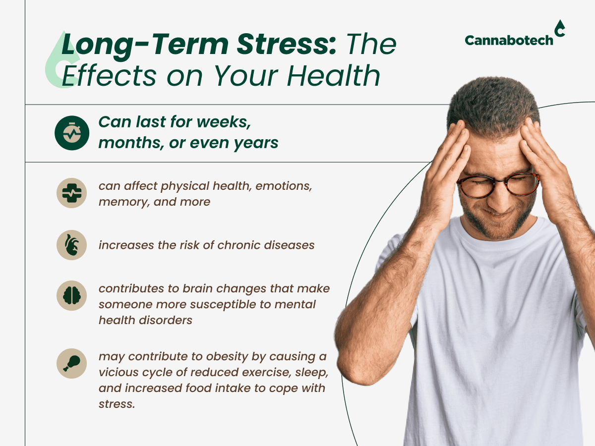 Long-term stress impact on well-being explained.