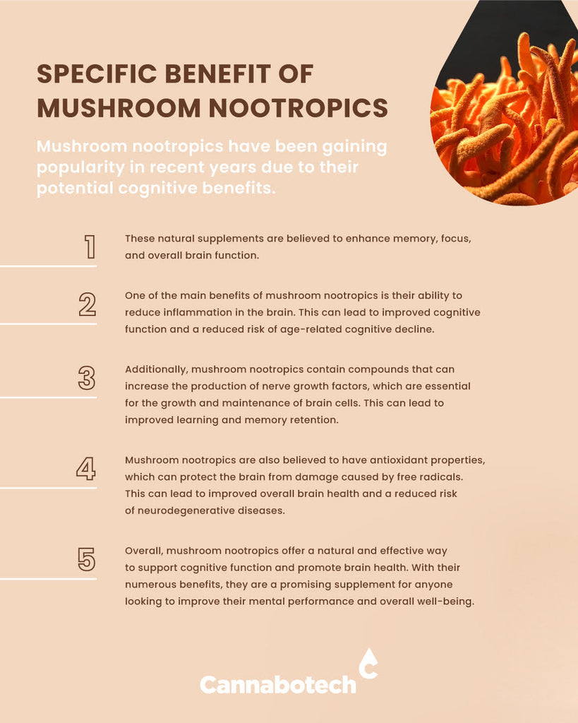 nootropic mushrooms infographics of benefits