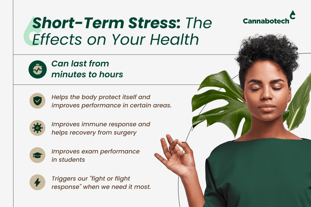 Short-term stress impact explained