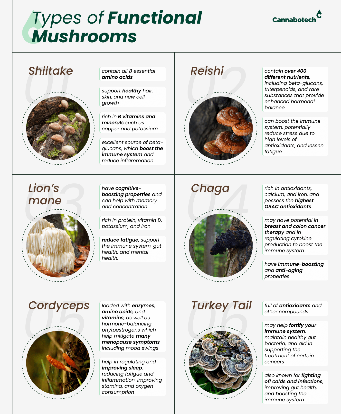 Types of Functional Mushrooms
