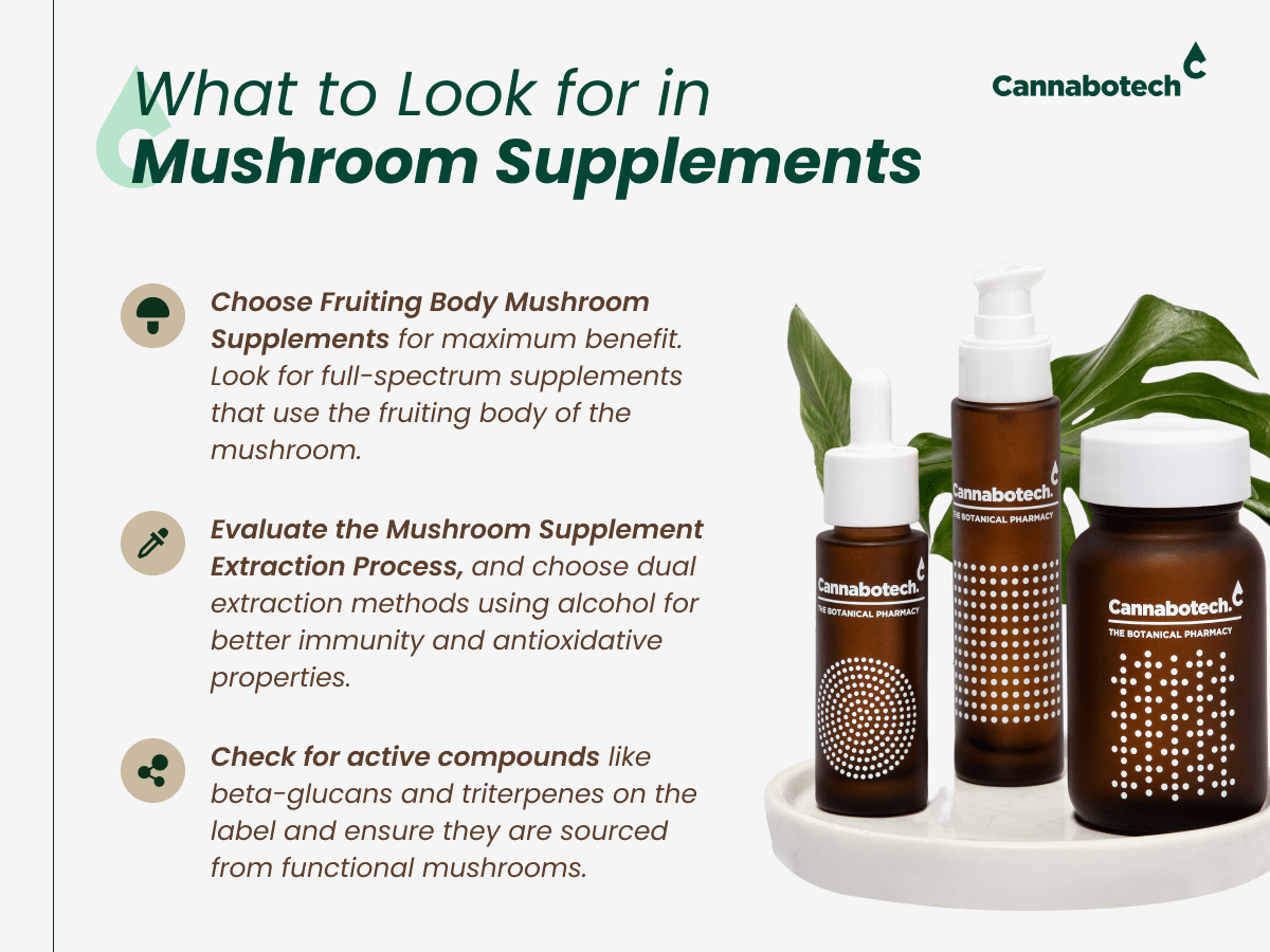 Mushroom Supplements - what to look for.