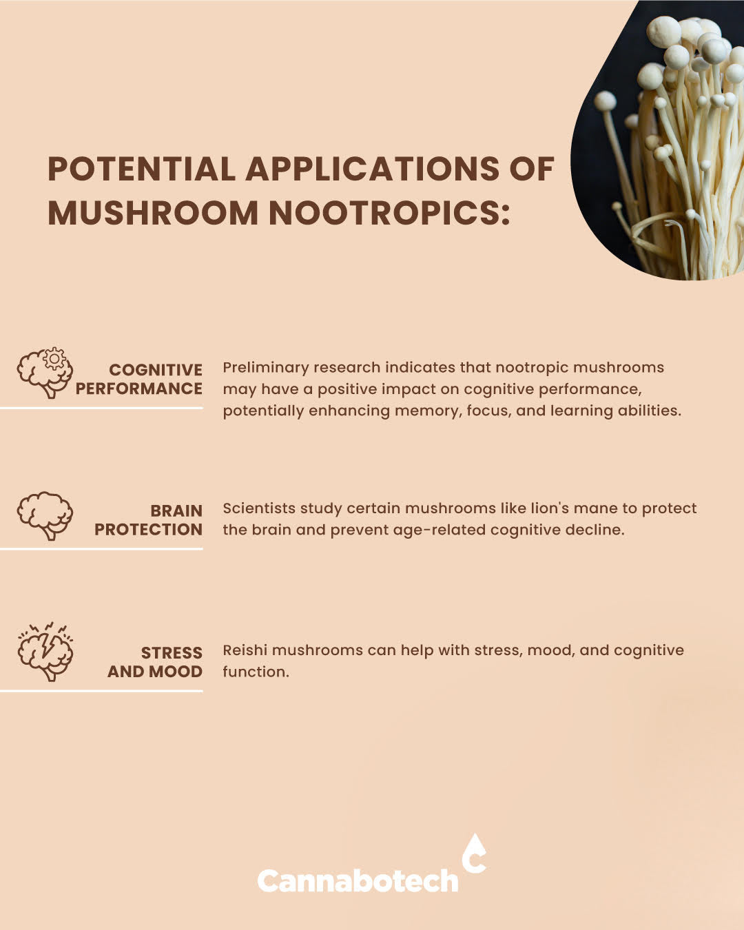 mushroom nootropics applicaitons