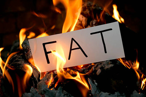 fat burner fatty acid for energy