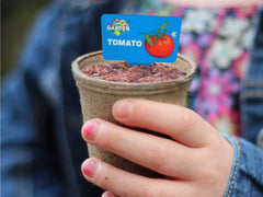 A young girl holding a small plant pot of New World's Little Garden collectibles in her hand.