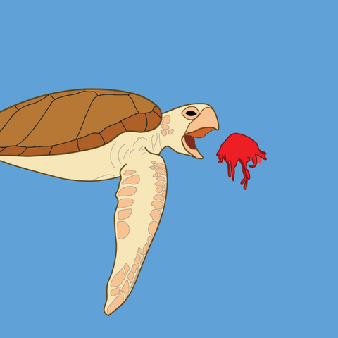 A cartoon of a green sea turtle about to eat a broken red balloon