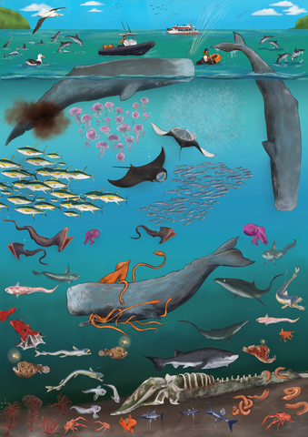Full artwork of Whale Poo and CO2 jigsaw puzzle. Shows three whales diving for squid and pooing on the surface. They are surrounded by sea creatures like tuna, jellyfish and angler fish.