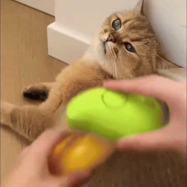 Escova Remove Pelo SprayClean ™ | Para Gato e Cachorro
