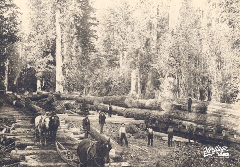 Männer Logger -Stiefel