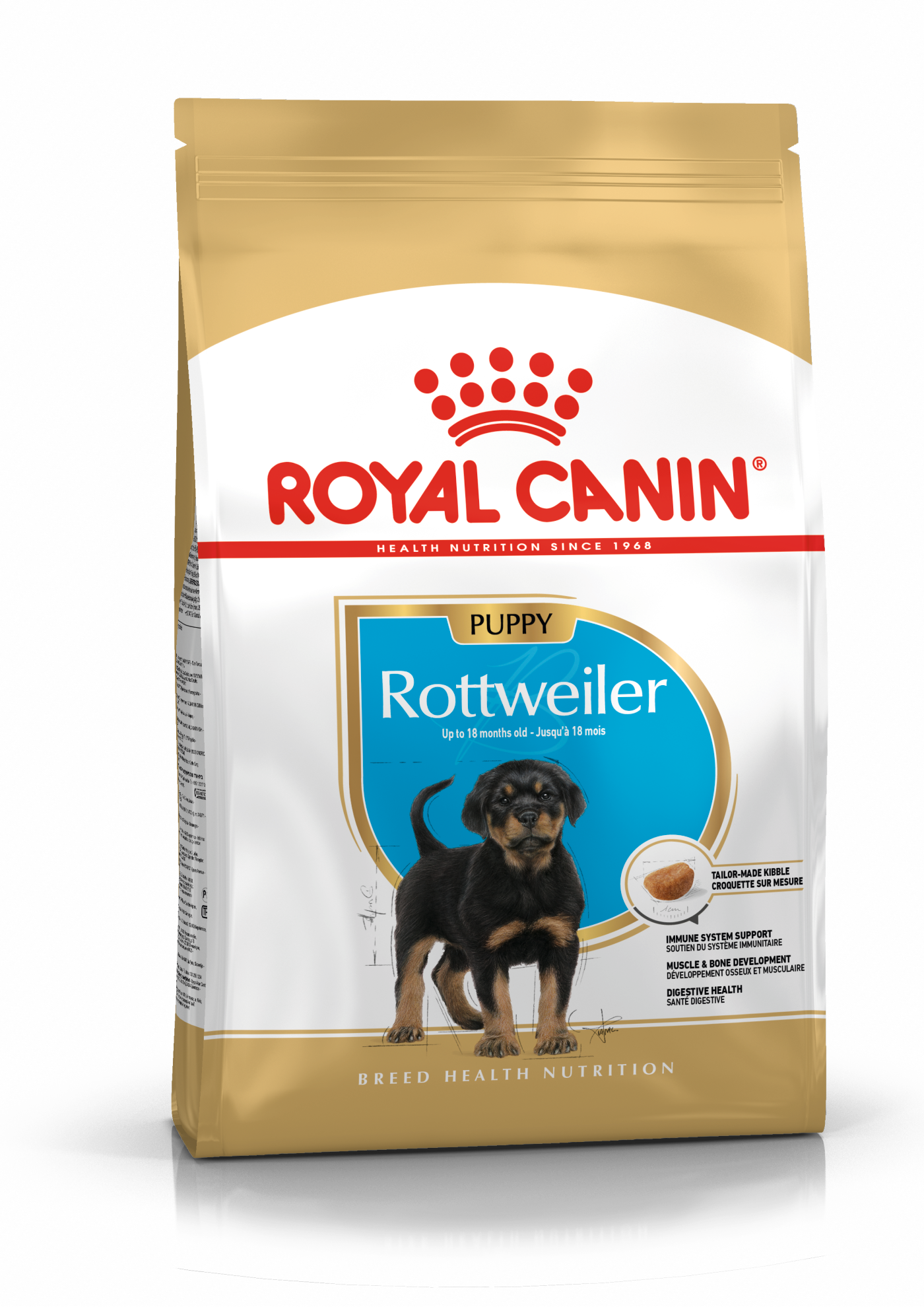 how do you take care of a rottweiler puppy