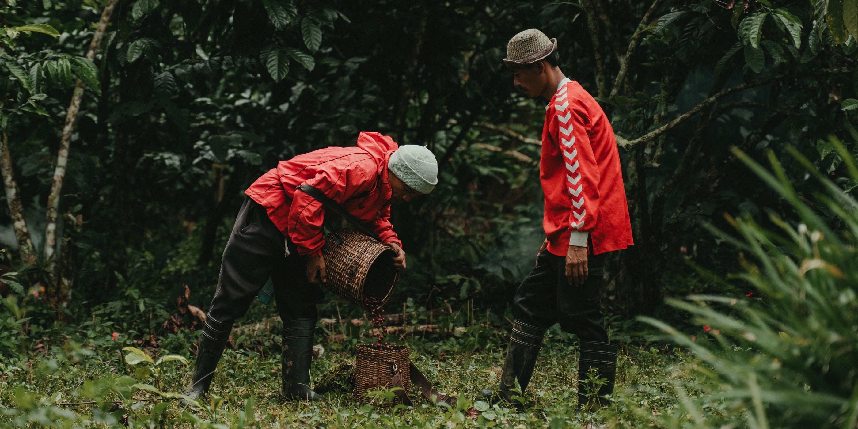 Coffee farmers