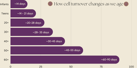 Skin cell turnover anti aging skincycle