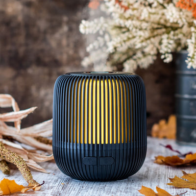 Pranarôm Diffuser CERA desde 53,39 €