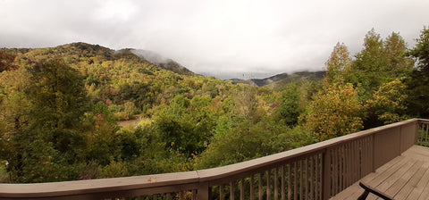 View from a deck showing fall colors