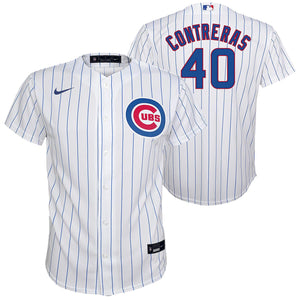 Nike Youth Dansby Swanson Chicago Cubs Royal Blue Alternate Replica Jersey