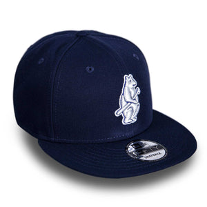 Cubs Spring Training Hat Chicago Cubs Hat Adjustable Cap Baseball Hat c5
