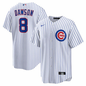 Fanatics Authentic Dansby Swanson Chicago Cubs Autographed White Nike Replica Jersey