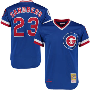 Men's Mitchell and Ness Chicago Cubs #8 Andre Dawson Authentic