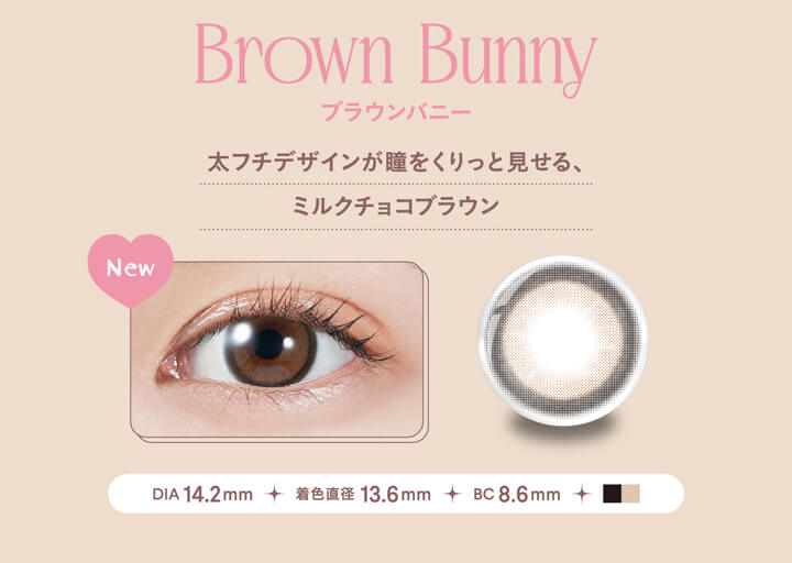 モラクワンデー(MOLAK 1day),Brown Bunny,ブラウンバニー,太フチデザインが瞳をくりっと見せる、ミルクチョコブラウン,DIA 14.2mm,着色直径 13.6mm,BC 8.6mm|モラクワンデー MOLAK 1day カラコン カラーコンタクト