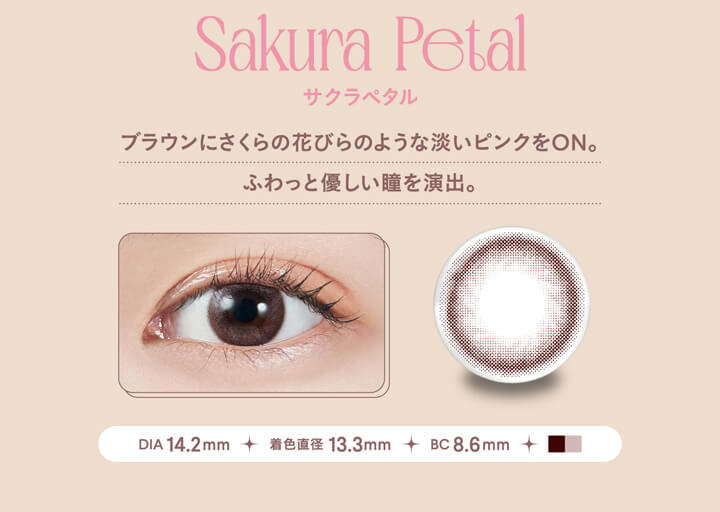 モラクワンデー(MOLAK 1day),Sakura Petal,サクラペタル,ブラウンにさくらの花びらのような淡いピンクをON。,ふわっと優しい瞳を演出。,DIA 14.2mm,着色直径 13.3mm,BC 8.6mm|モラクワンデー MOLAK 1day カラコン カラーコンタクト