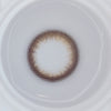 アプデ ホログラムダリアのレンズ画像
