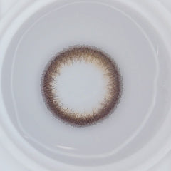 アプデ ホログラムダリアのレンズ画像