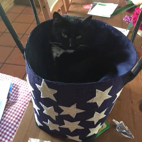 black cat in a raffia basket