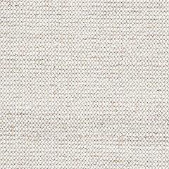 7-Foot by 5-Foot Rug from Jossick