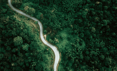 an aerial view of a dark green tropical forest with a road winding through the middle