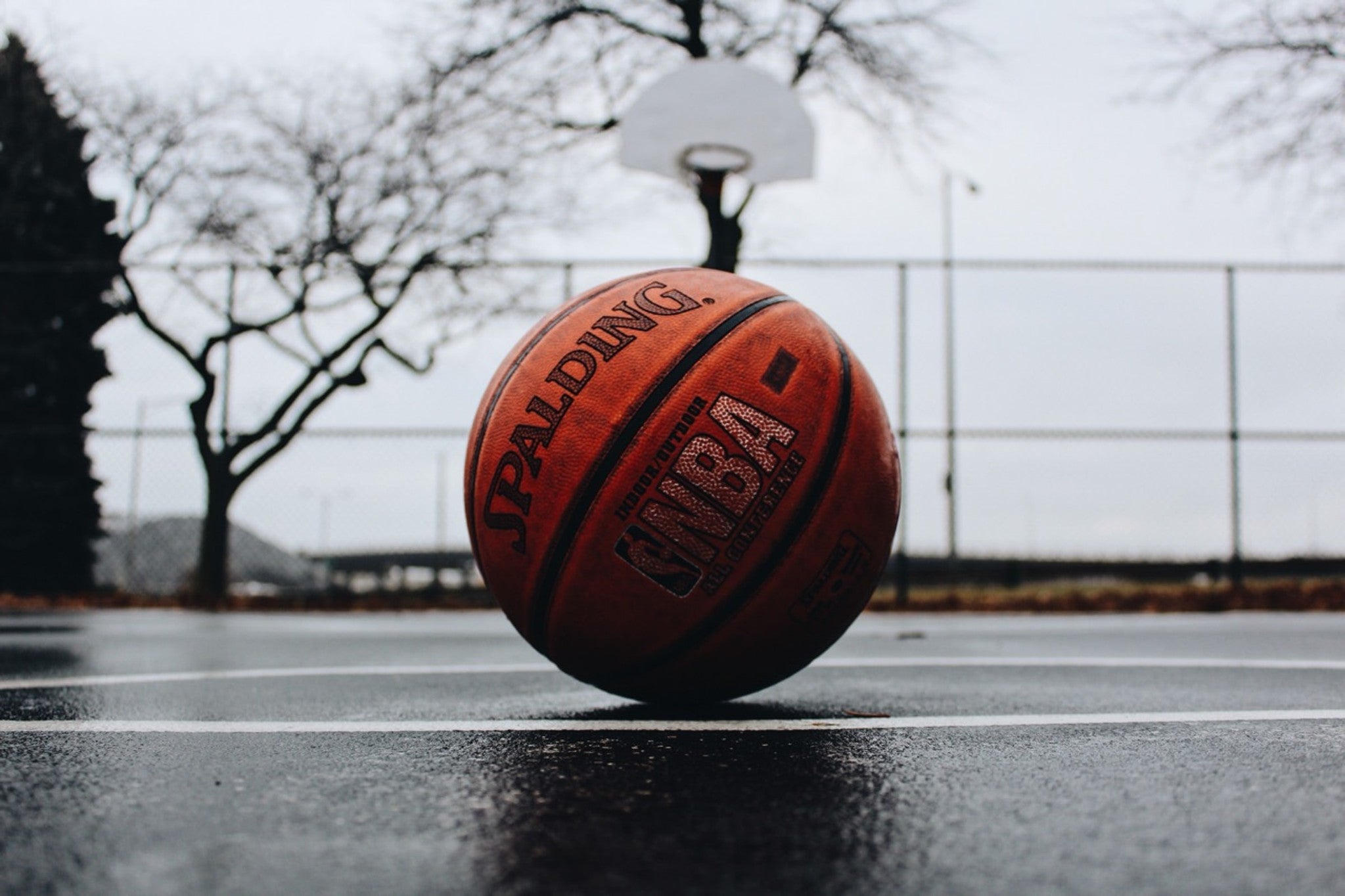 wilson-spalding-nba-basketballen