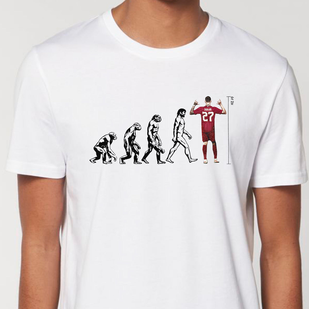 Darwin: Evolution Tee