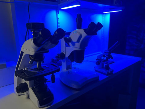 Die Mikroskope Bresser Science Infinity, ETD-301 Stereomikroskop und das Biolux AL
