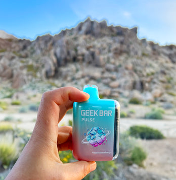 GEEK BAR Pulse Frozen Edition Disposable 5%| Vape Central Wholesale