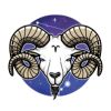 aries prediction for 2024