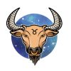 taurus prediction for 2024