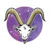 capricorn prediction for 2024