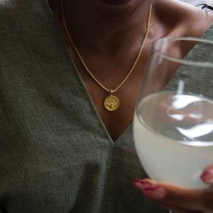 everyday coin necklace